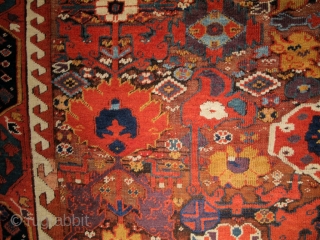 Kurdish weavings from Northwest Persia during the 18th and early 19th century are some of the most vibrant and dynamic from any region or group during the post-classical period. This magnificent Kurdish  ...