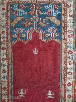 Ladik Prayer rug 199 x 118cm
Quite a lot of old repair but otherwise sound.                   