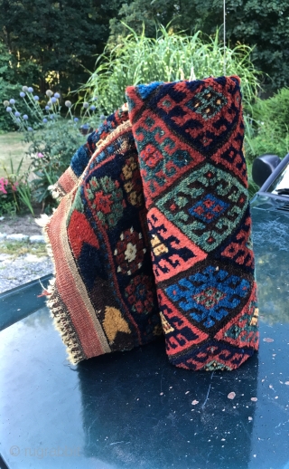 Large 33"x 44" Juicy Jaf
Saturated natural colors
Thick Meaty Pile
Corner issues
A Beautiful Thing
                     