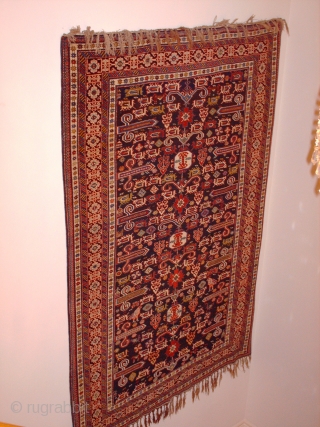 Name:          PERPEDIL KUBA

Category:      Caucasian

Origin:        Azerbaijan

Age:        ...