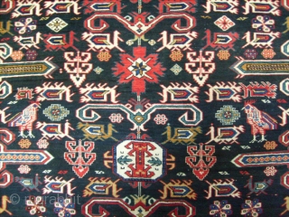 Name:          PERPEDIL KUBA

Category:      Caucasian

Origin:        Azerbaijan

Age:        ...