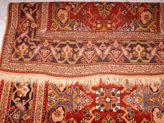 Name:         Zeykhur Kuba
Category:      Caucasian
Origin:       Azerbaijan
Age:          ...