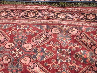 Name:         Zeykhur Kuba
Category:      Caucasian
Origin:       Azerbaijan
Age:          ...