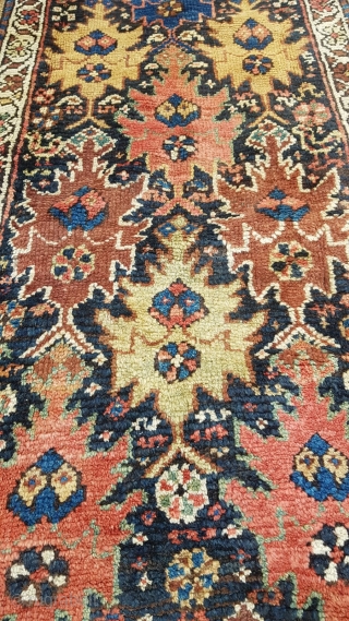late 19thc or  early 1900 Kurdish rug Some believe it may be a Sauj Bulagh , but some don't 
Size:250×108 cm

           