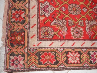 Karabagh, herati pattern, wool on wool, cm. 184 x 120, perfect.                      