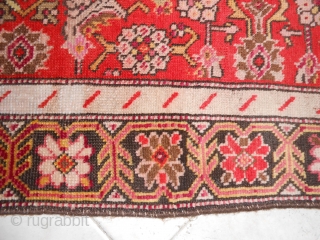 Karabagh, herati pattern, wool on wool, cm. 184 x 120, perfect.                      