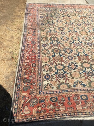 8x10 Antique Sultanabad Persian rug

This is an antique 1880’s Sultanabad rug from late nineteenth century. It is also known as a Mahal rug. These types of rugs are highly regarded and desirable  ...