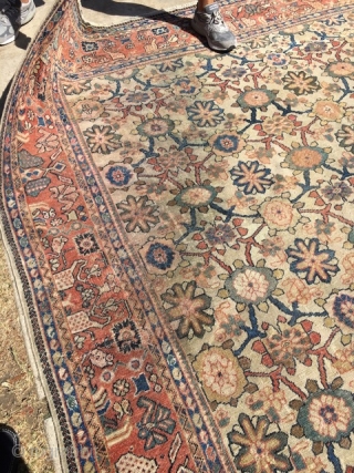 8x10 Antique Sultanabad Persian rug

This is an antique 1880’s Sultanabad rug from late nineteenth century. It is also known as a Mahal rug. These types of rugs are highly regarded and desirable  ...