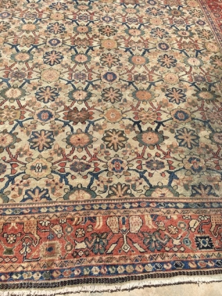 8x10 Antique Sultanabad Persian rug

This is an antique 1880’s Sultanabad rug from late nineteenth century. It is also known as a Mahal rug. These types of rugs are highly regarded and desirable  ...