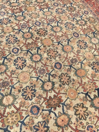 8x10 Antique Sultanabad Persian rug

This is an antique 1880’s Sultanabad rug from late nineteenth century. It is also known as a Mahal rug. These types of rugs are highly regarded and desirable  ...