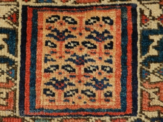 Afshar , wool on wool, grootte; 34x34 cm                         