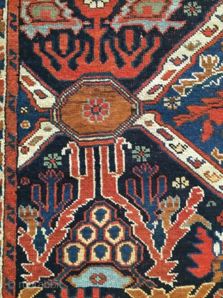 Afshar rug, ca.1880. Mint condition, kilim ends intact. 173x125cm. Inquiries: info@pleijsierproductions.nl                      