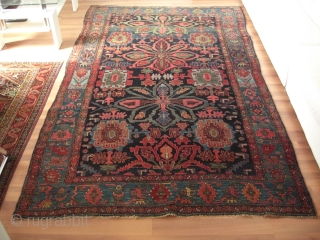 Bidjar Geirous, ca. 1900. Wool foundation. About 4´5 to 9 ft. Good condition. Natural dyes. Famous design. Germany.               