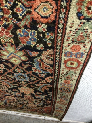 An antique Malayer Feraghan with 240/126 cm. Good shape wirh low pile. Great border design.                  