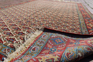 Fine Carpets size  130 x 220 cm                         