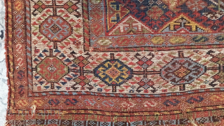 Second 19th century Shekarlu Rug All Colors Natural Size 225x175 Cm                      
