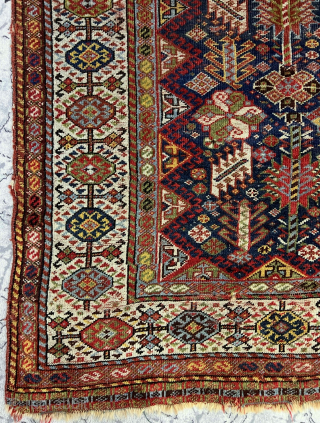 Second 19th century Shekarlu Rug All Colors Natural Size 225x175 Cm                      