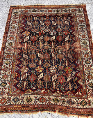 Second 19th century Shekarlu Rug All Colors Natural Size 225x175 Cm                      