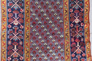 Antique Persian Nort West Runner Rug full condition All Colours Natural Circa 1880.90 Size.320x104 Cm	P                  