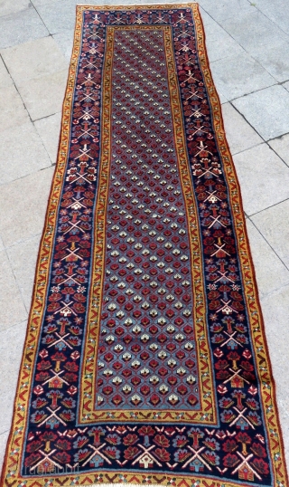 Antique Persian Nort West Runner Rug full condition All Colours Natural Circa 1880.90 Size.320x104 Cm	P                  