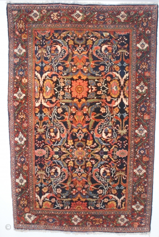 Mahal Circa 1900 c
full pile, excellent wool quality, exquisite color
4.5 X 6.10                     