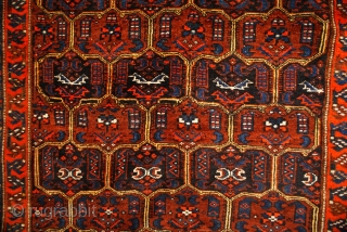 Kurdish rug 3.7 x 5.6                            