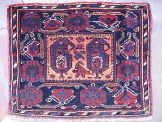 Two Afshar bags. A complete chuval, 2'11"x1'7". Good wool and natural colors, Generally good condition, low at bottom center with small replied area (see photo).
A khorjin  face. 1'10"x1'6". Good wool and  ...