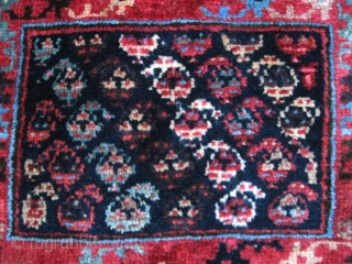 Two great kurdish weavings. Both have thick glossy pile with natural colors including aubergine.The one with large booths in the field is nibbled around all sides, but otherwise is fantastic.  The  ...