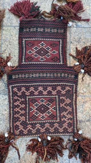 Baluch /Afghan SALT BAG late 19th/20th in hand-woven WOOL color red,white,black

نمکدان in persian)
/ Namakdân", or "tiyar" in Lori dialect)

Detailed information:
Size: 49cm long, 28cm wide

Pile: medium height wool 
Warp and weft: wool 
Interior:  ...