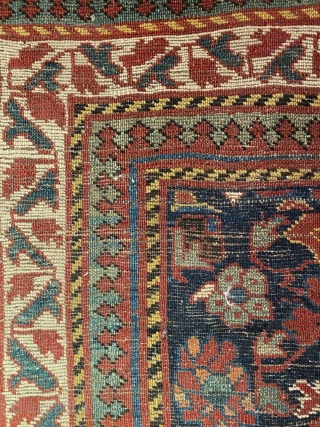 Kurdish Sauj Bulaq carpet featuring a beautiful Harshang design, 2nd half 19th C., 12' x 5'2", in excellent condition. Minor losses to ends. Full pile with small areas of light wear.   ...