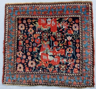 S.W. Persian Khamseh bagfaces, Circa 1880.  Hard to photograph these remarkable Gul Ferang design bagfaces.  The wool is just too shiny.  In addition to the lustrous quality of the  ...