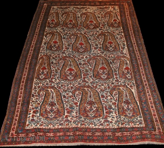A beautiful shawl-inspired Khamseh boteh design rug with crisp colors against an ivory ground. Interesting floral filler between the botehs. Bottom 1" expertly restored and very small scattered re-knotting in field.  
