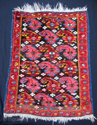 19th C. small Kuba rug, 2'5" x 3'. A most colorful display of botehs on this rare, chunky N.E. Caucasian rug. Two old patches, one 2" x 3" and the other 1  ...