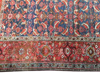 Bidjar rugs and carpets have long had a mystique that makes them a "man's rug". Called the Iron rug of Persia they have an odd feature that few other rugs can match.  ...