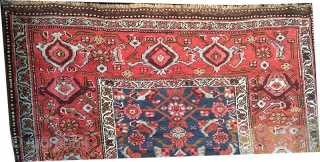 Bidjar rugs and carpets have long had a mystique that makes them a "man's rug". Called the Iron rug of Persia they have an odd feature that few other rugs can match.  ...