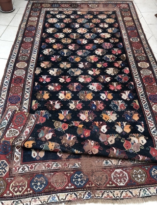 Killer Antique Shirvan Kuba region 
Ca.165x330                           