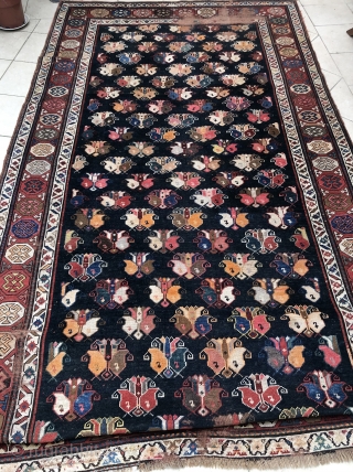 Killer Antique Shirvan Kuba region 
Ca.165x330                           