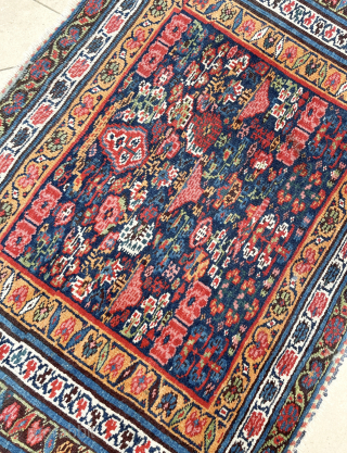 Antique Kurdish Sauj Bulagh Poshti 1880 120x80 wool on wool great condition with old repairs                  