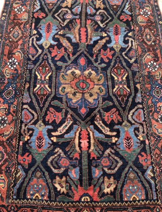 Bidjar Bijar pre 1900 Garus Halvaie
Excellent condition 

205x128

Need more info? Please contact me.                    