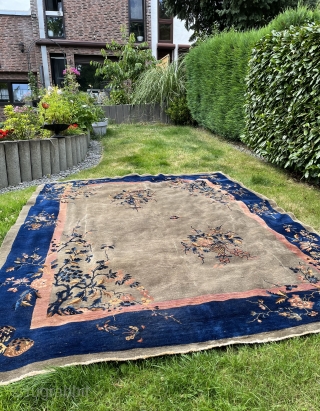 Antique Peking Nichols 
350x270                             