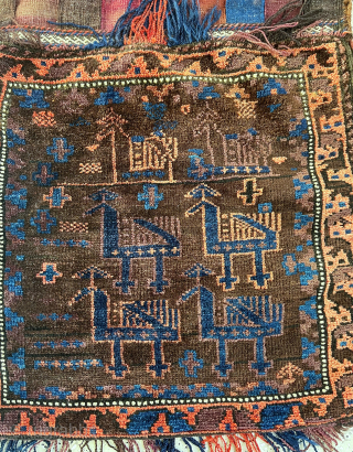 Interesting Baluch peacock fluffy wool great condition
56x63
285€ plus shipping
Contact: slip_knot_982@yahoo.com or WhatsApp +49 1523 4681016