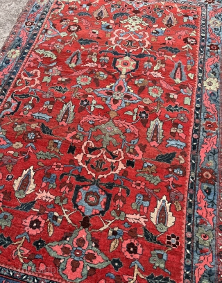 Wagireh Ornak Bidjar Halvaie sample rug 
1920
Shiny wool great condition                       