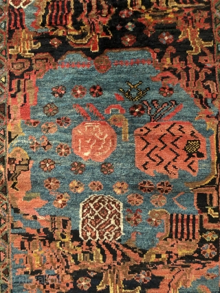 Bidjar late 19th
170x132
Full pile but needs a repair.
More images will be sent upon request.