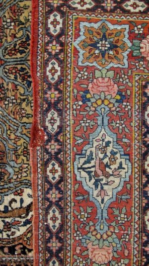 A pair of c. 1900 Isfahan rugs, each 4.8 x 7.7 They are knotted at 270-280 kpsi; all dyes are natural with no bleaching and painting. They are full pile with slight  ...