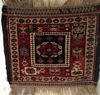 Waramin bagface - Antique - late 19h century 

*good wool and nice colours
*two very small repairs on the sides

Size: 55 x 45 cm
 

         