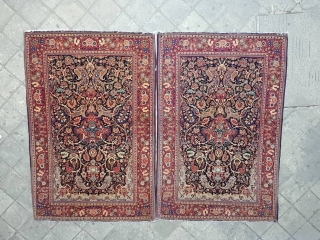 Fine pair kashan rugs
Excellent colors,in mint condition,edges are in good condition,circa 1920                     