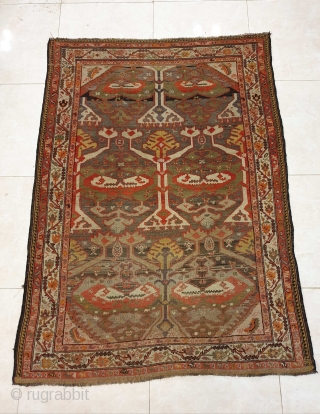 Exquisite rug from shahsavans of saveh
Early 20th century , size 190 * 140 cm                   