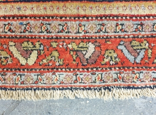 Sanandaj rug

I'm of the opinion that the pattern of this velvet like Kurdish rug is originated from Herati fish pattern , although the structure looks like Zeichur rugs of Caucasus. 
Background of  ...