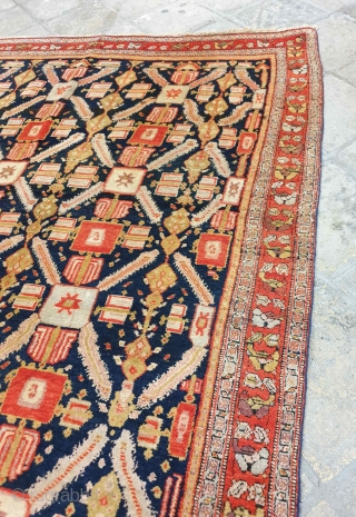 Sanandaj rug

I'm of the opinion that the pattern of this velvet like Kurdish rug is originated from Herati fish pattern , although the structure looks like Zeichur rugs of Caucasus. 
Background of  ...