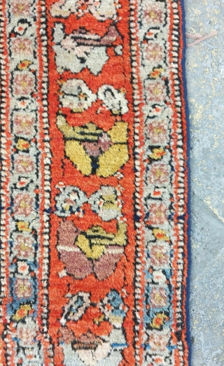 Sanandaj rug

I'm of the opinion that the pattern of this velvet like Kurdish rug is originated from Herati fish pattern , although the structure looks like Zeichur rugs of Caucasus. 
Background of  ...